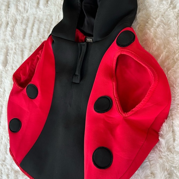 Zara Ladybug Costume 2T - Picture 3 of 8
